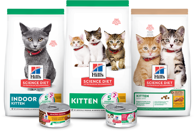 Science Diet Dry Kitten Food Bags
