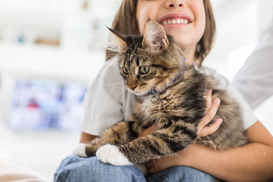 Happy girl at home playing with striped cat
